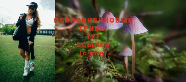 гашик Арсеньев
