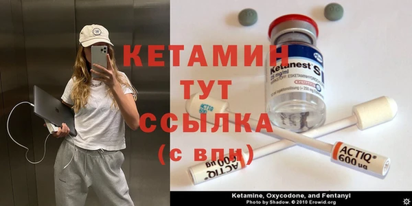 гашик Арсеньев