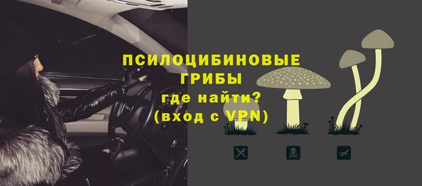 ECSTASY Армянск
