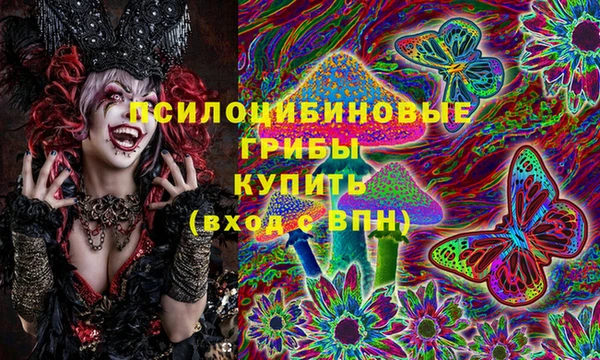 гашик Арсеньев
