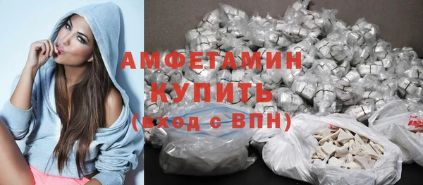 гашик Арсеньев