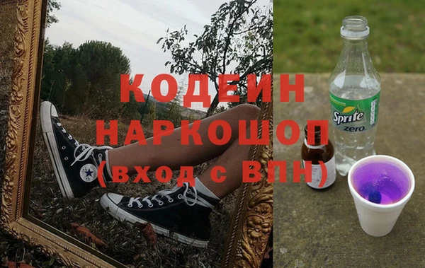гашик Арсеньев