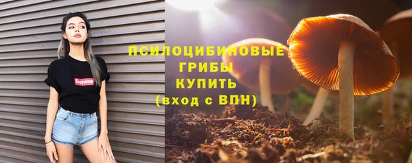 ECSTASY Армянск
